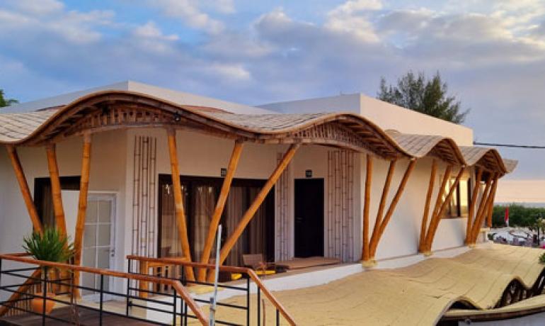 Junior Suite Room (Adult Only)